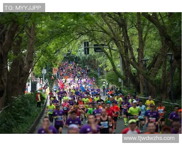 南京飞盘队在城市马拉松中的拼搏故事与奋斗精神展现
