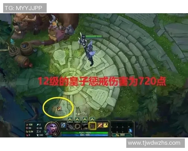 深入分析RNG战队转换打法的策略与效果探讨